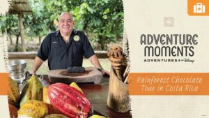 A smiling man stands in a lush setting, surrounded by cacao fruit and traditional tools, promoting a chocolate tour in Costa Rica.