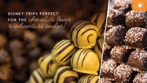 Close-up of chocolate truffles, some drizzled with darker chocolate, alongside a stacked display, promoting Disney trips for chocolate lovers.