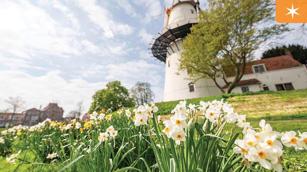 A lighthouse stands beside a grassy hill, adorned with blooming daffodils, under a bright sky with scattered clouds.