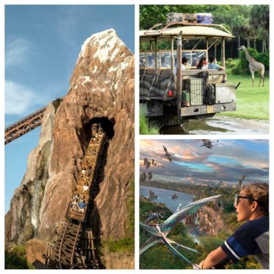 A collage of Disney's Animal Kingdom attractions: Expedition Everest roller coaster, Kilimanjaro Safari with giraffes, and Avatar Flight of Passage.