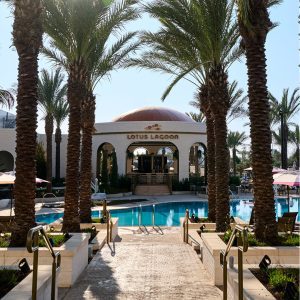 Palm tree-lined walkway leads to Lotus Lagoon pool bar and swimming pool at Universal Helios Grand Hotel, with lounge chairs and umbrellas.